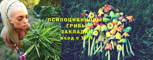 не бодяженный Верея