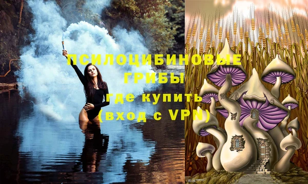 не бодяженный Верея